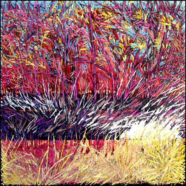 FRICHE AVEC RAIE DE LUMIERE
