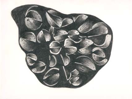 Bertrand Tremblay, Poche d'eau, dessin au crayon sur papier Reeves BFK © Bertrand Tremblay